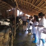 Formation sur la reproduction bovine Formation sur la reproduction bovine